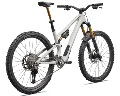 Specialized Mountain Bikes|Specialized Bikes|S-Works Stumpjumper 15 EVO (Dolomite Metallic/Smoked Liquid Metal) (S1) (Shimano XTR Di2)