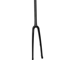 Specialized Forks|Forks|S-Works Tarmac SL6 Disc Fork (Gloss Black) (44/49/52cm) (No Decal)