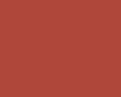 Spray.Bike Frame Protection & Decals|Vintage Paint (Rudge) (400ml)