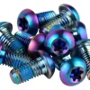 SRAM Brakes|Titanium Rotor Bolt Kit (Rainbow) (T25) (Set of 12)