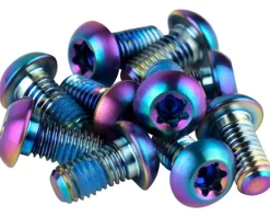 SRAM Brakes|Titanium Rotor Bolt Kit (Rainbow) (T25) (Set of 12)