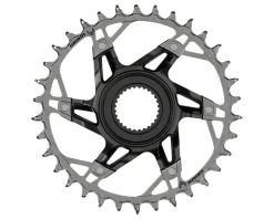 SRAM Chainrings & Accessories|XX T-Type Chainring (Bosch Gen 4 Direct Mount) (34T)
