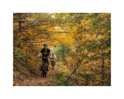Swift Industries Bags & Packs|Gemini Cargo Pack (Black)