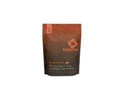 Tailwind Nutrition Nutrition & Skin Care|Recovery Mix (Salted Caramel) (45oz)