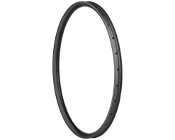 Teravail Wheels & Parts|Fluent Mountain Rim (Matte Carbon) (Disc Brake) (29") (Front) (28H)