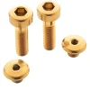 Terske Brakes|Brake Lever Bolt Kit (Gold) (Shimano A)