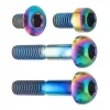 Terske Brakes|Brake Lever Bolt Kit (Oil Slick) (Matchmaker)