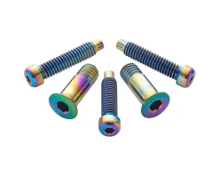 Terske Derailleurs & Parts|Rear Derailleur Bolt Kit (Oil Slick) (Shimano A)
