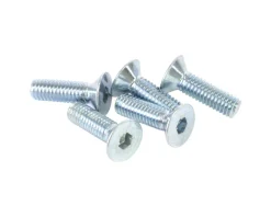 Wheels Manufacturing Derailleurs & Parts|M3x10 Flat Head Screws (5)