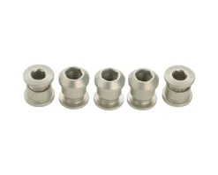 Wolf Tooth Components Chainrings & Accessories|Dual Hex Fitting Chainring Bolts (Silver) (6mm) (5 Pack) (For 1x Use)