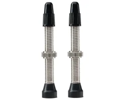 WTB Tubeless Tire Tools|Tubeless Accessories|TCS Standard Tubeless Valves (Silver) (Pair) (34mm)