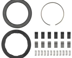 Zipp Wheels & Parts|Spring & Pawl Set (ZM2 )